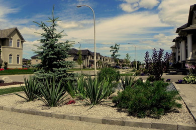 Inspiration for a mid-sized eclectic drought-tolerant and full sun front yard gravel landscaping in Toronto for summer.