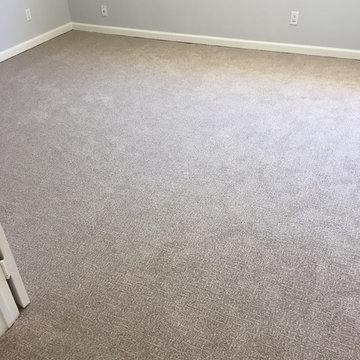 Royalty Carpet - Pet Protect