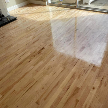Floor Sanding Areas