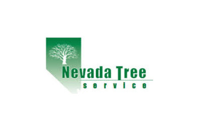 Tree cutting