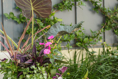 Inspiration for a modern landscaping in Charleston.