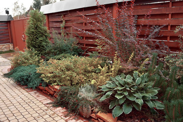 Современный Сад by GREEN LANDS garden company