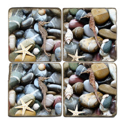 Seahorse and Seashell Coasters - Coasters
