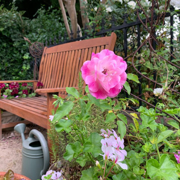 Garden Courtyard