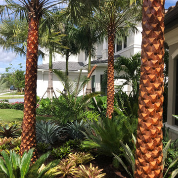 Landscaping with Tropical Color-Palms and Bromeliads