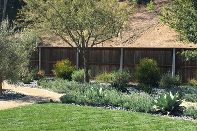 Photo of a contemporary landscaping in Orange County.