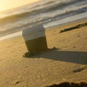 Sheila Hammond's photo