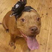 Natasha Kaminsky's photo
