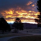 Andrew Watson's photo