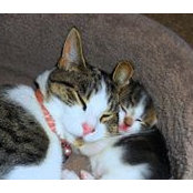 Michelle McLaughlin's photo