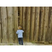 Kelly Campbell's photo