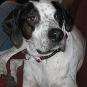 Lois Stringer's photo