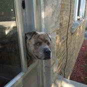 Kim Ruiz Fogarty's photo