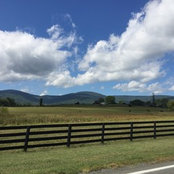 JP Sullivan's photo
