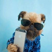 Oscar Mata's photo