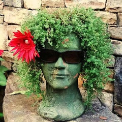 Shady Grove Landscape Company