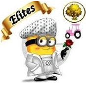 Lisa Shippey's photo