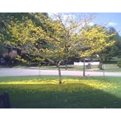 Teneille White's photo