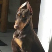 Betty Keetley's photo