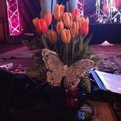Kathy Poellinger's photo