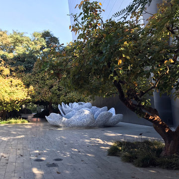 Blue Ribbon Garden - Walt Disney Concert Hall Roof Top Garden