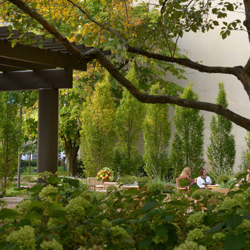 Healing Garden