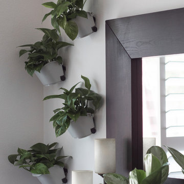 DIY Garden