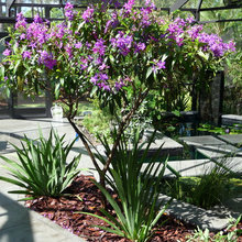 Yard - Inspiration Board