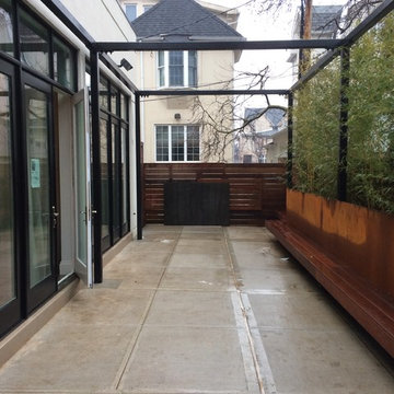 Brooklyn backyard