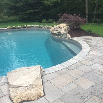 Contemporary Pool & Landscape