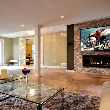 Basement Fireplace