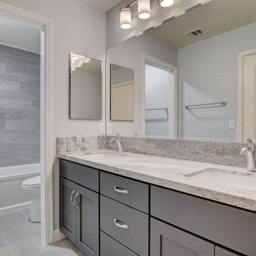 Modern Gray Master Suite and Guest Bathroom in Green Valley