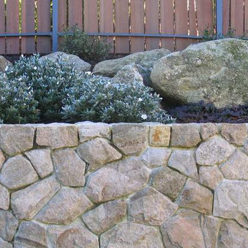 Coastal Garden