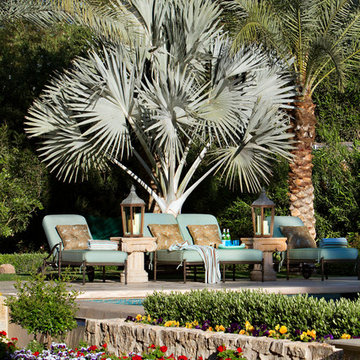 Exotic Poolside