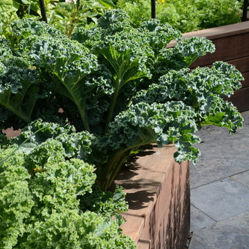 Raised Vegetable Bed / Ornamental Garden 2016