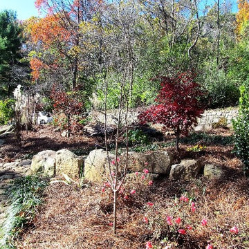 Signal Mountain Rain Garden