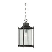 Dunnmore Outdoor Hanging Lantern