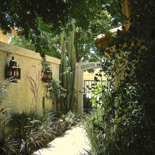 Outside