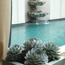 Plants/Landscaping
