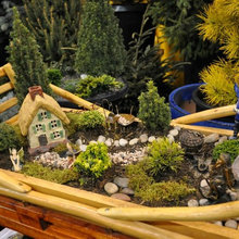 fairy houses
