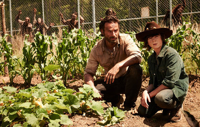How to Survive an Epidemic of Walking Dead