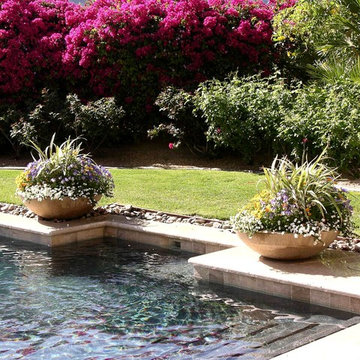 Pool, Spa, Deck and Landscape Remodel