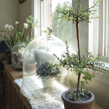 Decor