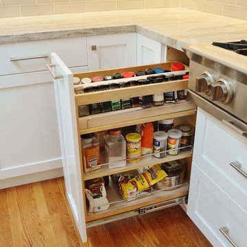 Pull out spice organizer