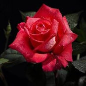 Darla Wasko's photo