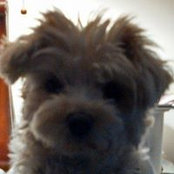 Jane DeBlasio's photo