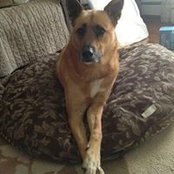 Debbie Jensenwhalen's photo