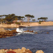 Daphne Huang's photo