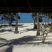 Happy Mgaya's photo