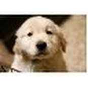 Judy Lampert's photo